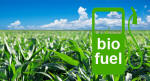biocarburanti