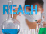 reach