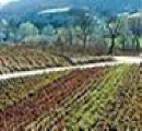 agroalimentare